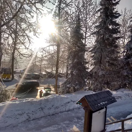 Stiegelmeier 호텔 3*